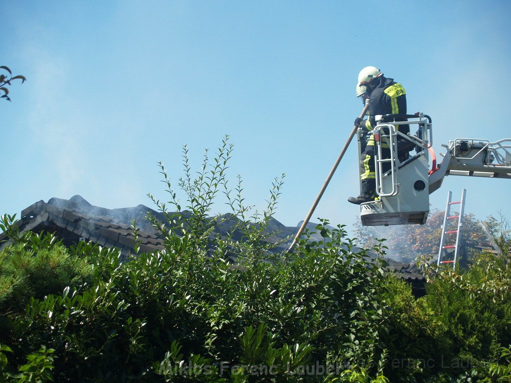 Gartenlaube in Vollbrand Koeln Poll Im Gremberger Waeldchen P236.JPG